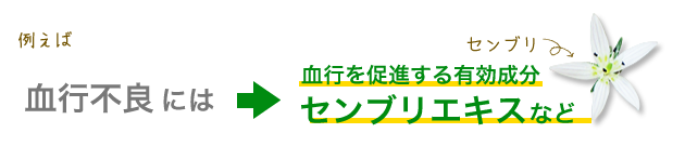 血行不良は血行を促進する有効成分センブリエキスなど